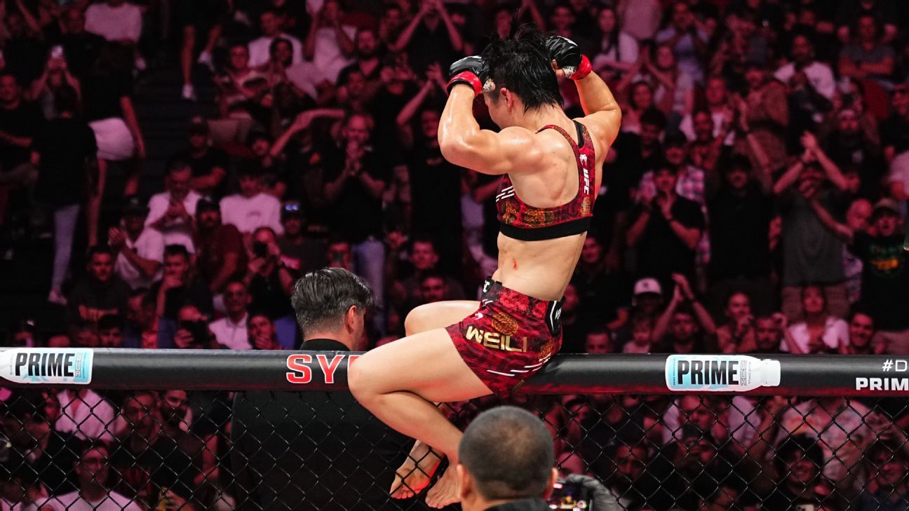 球迷的助威 球迷的助威